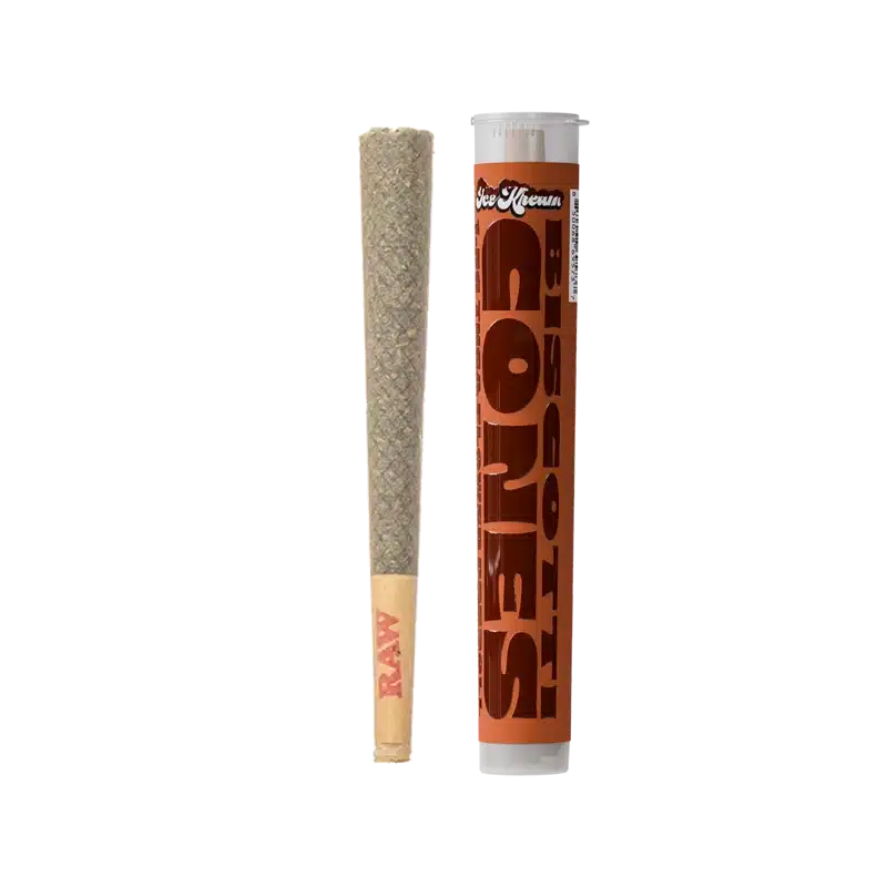 Ice Kream- Biscotti Indica