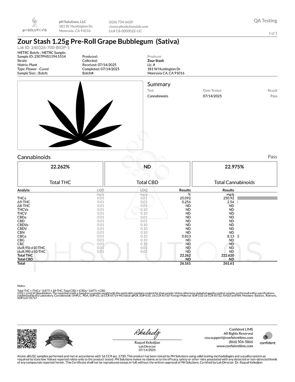 Zour Stach Jar- Grape Bubblegum Sativa